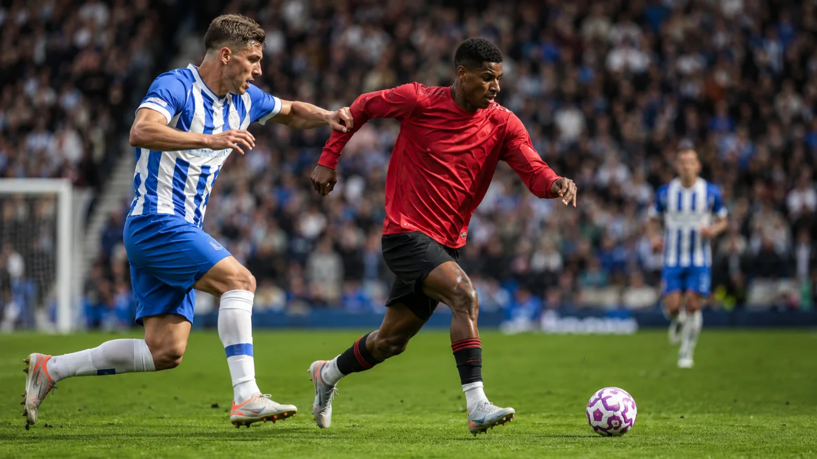 Brighton & Hove Albion Manchester United : duel de Premier League entre Brighton et Manchester United