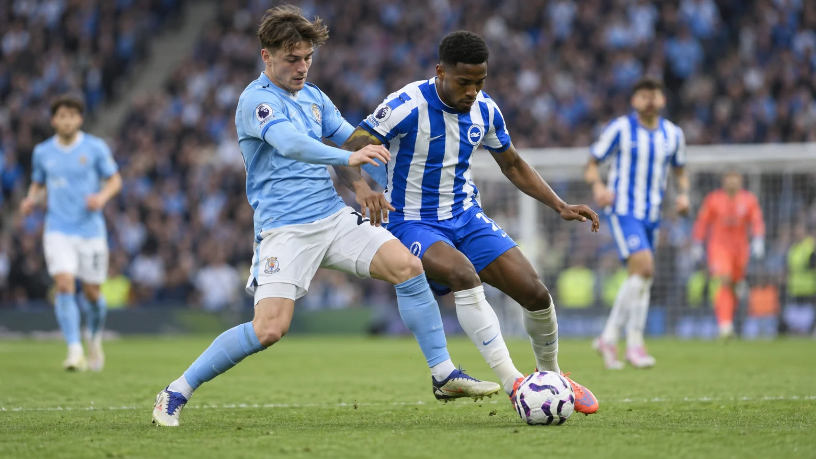 Coventry City Brighton & Hove Albion - duel de Premier League entre Coventry et Brighton